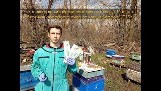 Устанавливаю китайские пластины от клеща Manhao | Весенняя обработка пчёл от клеща Варроа