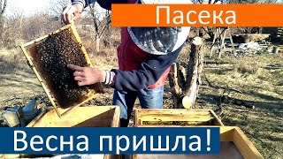 Кемеровская система пчеловождения Кашковского: Пересадка, Осмотр рамок, Добавление кормов, Утепление