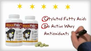 The Active Ingredients In The Best Joint Supplement For Dogs - MaxxiFlex Plus