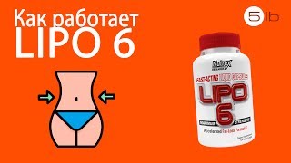 LIPO 6. Состав и свойства жиросжигателя