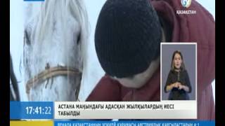 Қайтқан малда қайыр бар