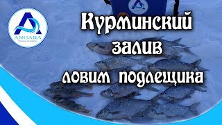 Ловля подлещика. Ангара. Зимняя рыбалка. Канал "Angara"