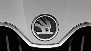 Резиновый скрип в салоне. Skoda Rapid
