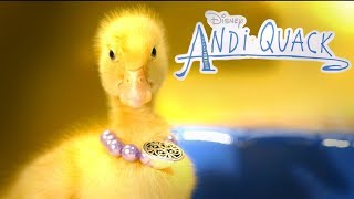 D-U-C-K-I-E-S, Andi Quack and MORE Baby Duck Takeovers! | DuckTales | Disney Channel