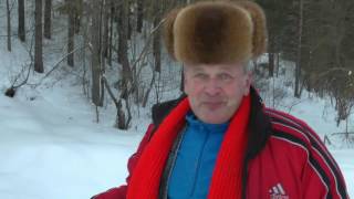 Вельск. В гостях у "Доктора" ,пежмаря и гармониста   Н  Попова 24 - 26  02 17 г