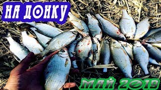 ПЛОТВА НА ПОПЛАВОК,ДОНКУ| ПОКЛЕВКИ КРУПНЫМ ПЛАНОМ | Рыбалка 2019 на Оби