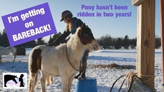 Riding ponies!