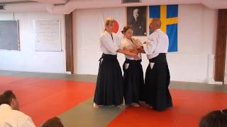 Kristianstad Aikido klubb 20 års jubileum.