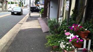 Cycling-Showa ku, Nagoya Shi