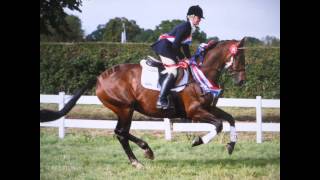 Equilibrium Products Rising Star 2014 Finalist - Bonnie Fishburn