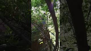 Пацан ссыт на стройке.часть 4.