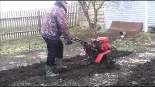 Культивация(фрезерование) мотоблоком. - soil cultivation motor-block.