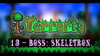 Terraria Tutorials 'BOSS - Skeletron'