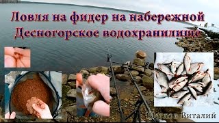 Ловля на фидер на набережной. Десногорское водохранилище. 2016