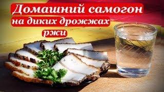 Домашний самогон, брага на диких дрожжах ржи