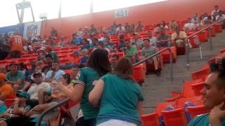 Miami Dolphins drunk girl falls