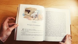 ДЕТСКИЕ КНИГИ. Чуковский, Сетон-Томпсон, Умка, Три поросенка   - Senya Miro