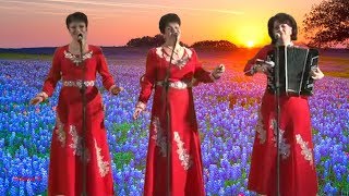 Заплетали русы косы девки ❤️❤️❤️ ОЧАРОВАТЕЛЬНОЕ ТРИО! Лучшие песни под гармонь! Russian folk song!