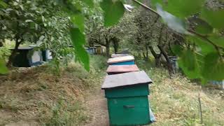 Экскурсия по  Пчелиному Г ородку.Домик,выдержавший ураган.