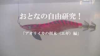 アオリイカ餌木改造の神髄。大人の自由研究！  「アオリイカのエギ編」 オカッパリ ＆ ティップラン