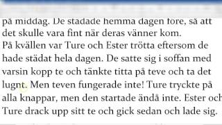 Sammanfatta en text - 1