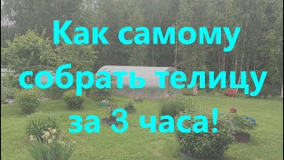 Как самому собрать теплицу из поликарбоната