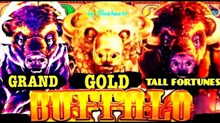 ★ GOING AFTER BUFFALO ★ BUFFALO GOLD slot machine VS BUFFALO GRAND slot BONUS WINS!