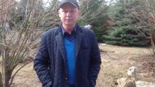 Уборка дачных участков от компании "Гектар"