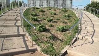 Прогулка по Митинскому ландшафтному парку