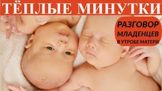 Разговор младенцев в утробе матери. Притча