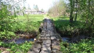 Northern nature. Природа Мурманской области