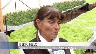 DÍA INTERNACIONAL MIPYME