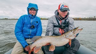 ОФИГЕННЫЕ ЩУКИ!!! - Fishing Today