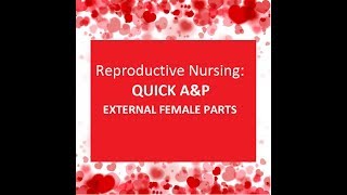 Reproductive Nursing: QUICK A&P External Female Parts