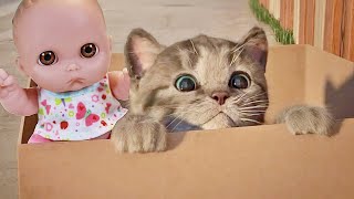 Куклы Пупсики Играют в Игру как мультик Бездомный МАЛЕНЬКИЙ КОТЕНОК. Видео для детей. Зырики ТВ