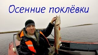 Осенняя рыбалка  / воблер на щуку / ловля  на спиннинг / хонда 50 прогресс 4 /