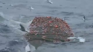 Big Catch !