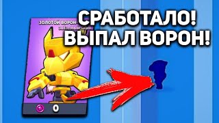 КАК ПОЛУЧИТЬ ВОРОНА В BRAWL STARS?! ВЫБИЛ ЛЕГУ ВОРОНА! БРАВЛ СТАРС