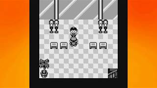 Pokémon Red/Blue Randomized - 20: Tuff Luck