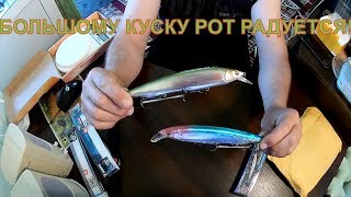 Копии MEGABASS KANATA 160F и ITO SHINER 115 SP