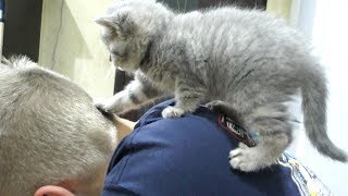 Kitten Street massages neck and back.
