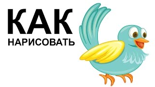 Птицы картинки. КАК НАРИСОВАТЬ ПТИЦУ
