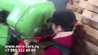 Производство тары из шпона, евро-ящиков