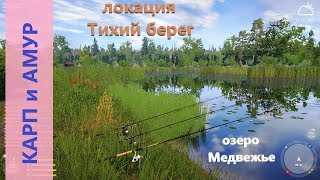 Русская рыбалка 4 - озеро Медвежье - Карпы и амуры