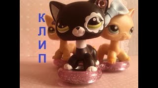 LPS Клип "Между нами любовь"