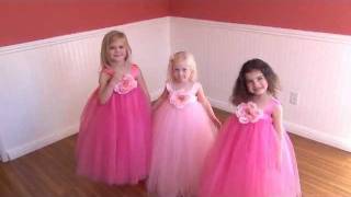 Tutu Skirt & Flower Girl Dress for Little Girl's Dress Up Costume, Birthday Party Cute Fluffy Tutu.