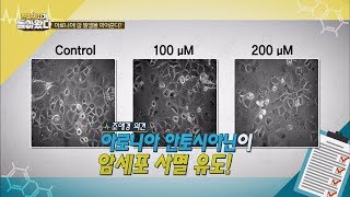 (대박) 아로니아의 안토시아닌이 암세포 사멸 유도?! 진짜 의사가 돌아왔다 6회