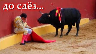 Самые добрые поступки людей! Скупил всё у бабушек, спас котенка. Популярный блогер помог бабушке!