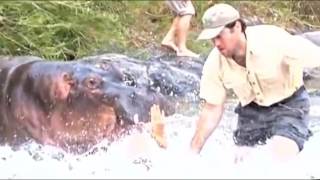 Ужасное нападение животных на людей. Самые опасные убийцы / Уникальные кадры