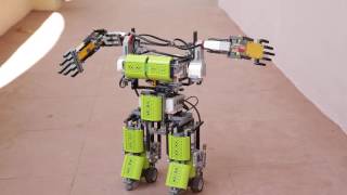 The Future of Robotics in India
